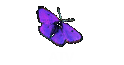 ATV